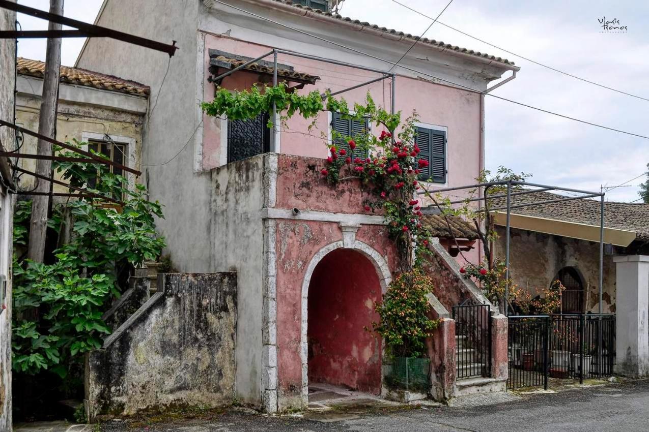 Alexandras Forest View Apartment Agios Prokopios  Bagian luar foto